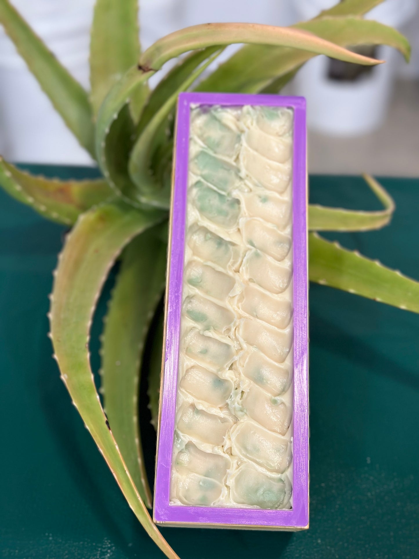 ALOE VERA SOAP BAR